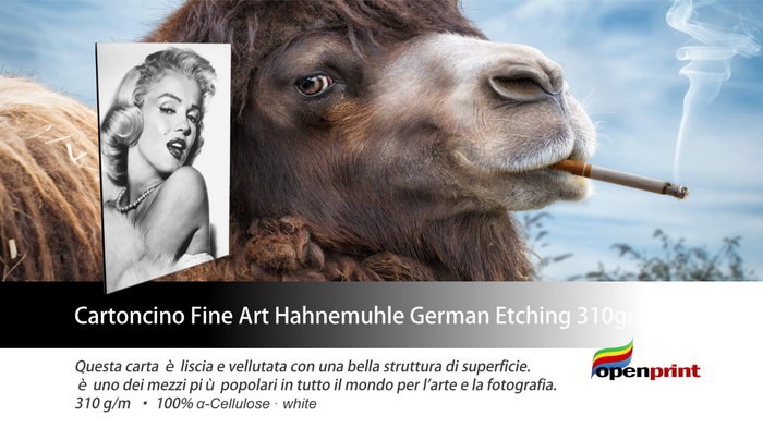 Cartoncino Hahnemuhle "German Etching" 310gr